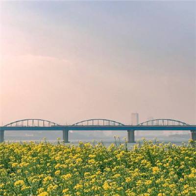 杭州河庄：匠心打造绿道 助推居民生活品质提升